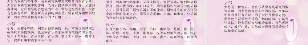 管类乐器介绍.ppt