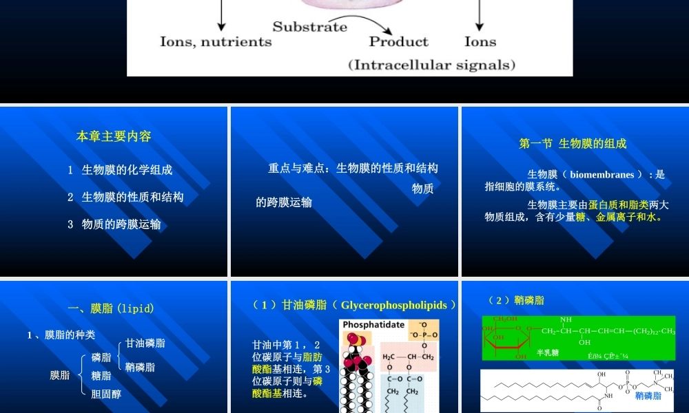 考研科目,动物生物化学 第6章 生物膜与物质转运.ppt