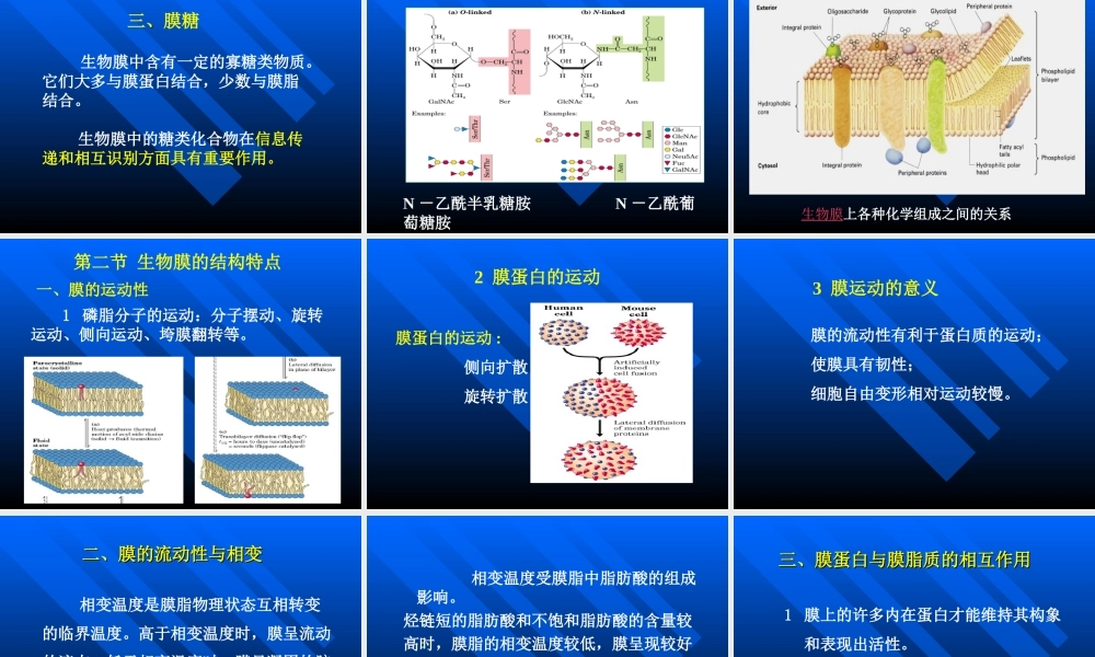 考研科目,动物生物化学 第6章 生物膜与物质转运.ppt