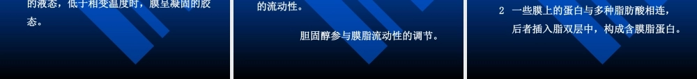 考研科目,动物生物化学 第6章 生物膜与物质转运.ppt