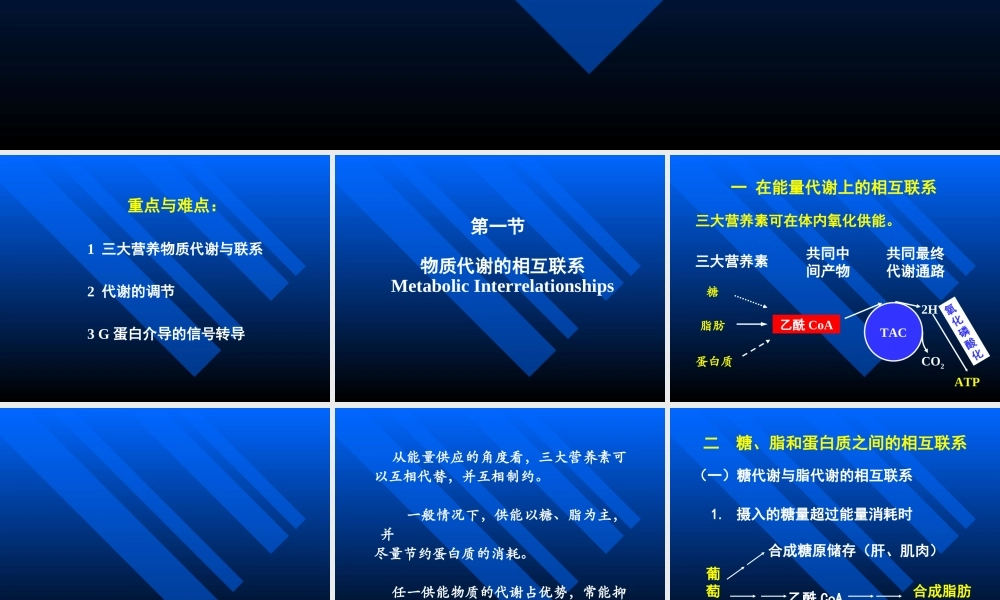 考研科目,动物生物化学 第12章 物质代谢的联系与调节.ppt