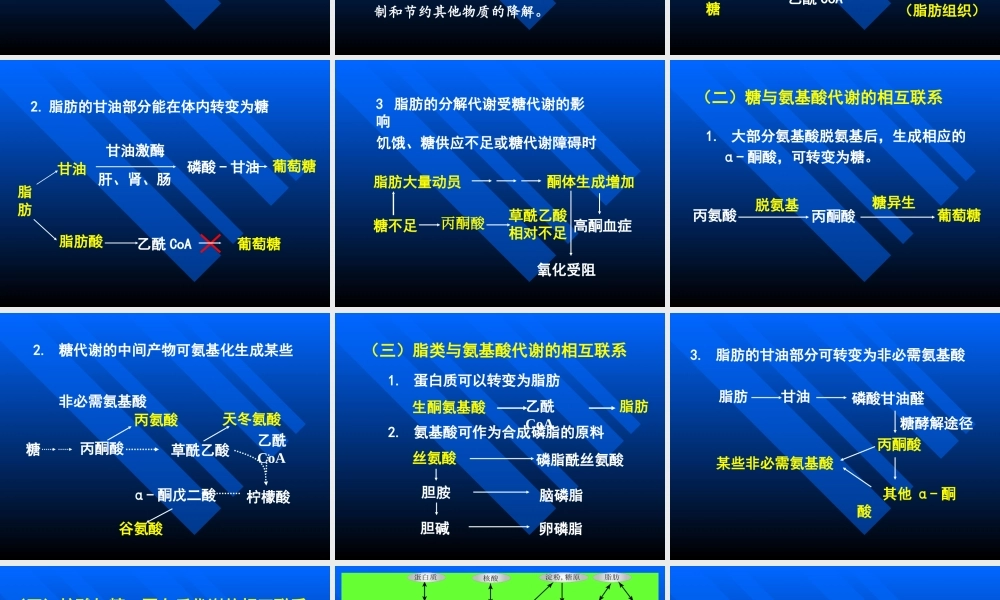 考研科目,动物生物化学 第12章 物质代谢的联系与调节.ppt