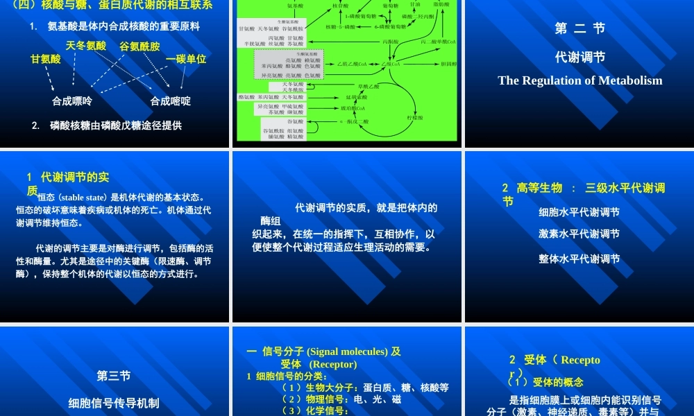 考研科目,动物生物化学 第12章 物质代谢的联系与调节.ppt