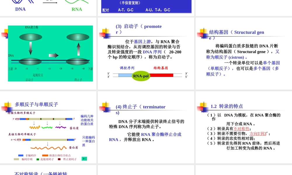 考研科目,动物生物化学 第14章 RNA的生物合成-转录.ppt