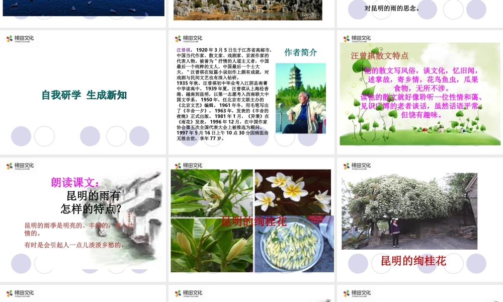 昆明的雨 课件一(1).ppt