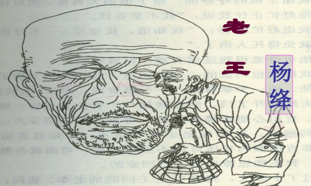 老王 公开课ppt课件.ppt