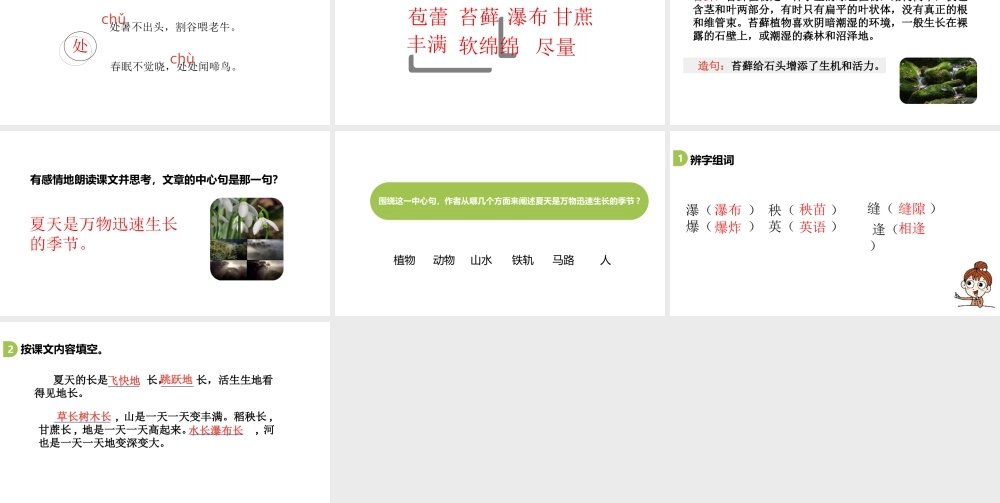六年级上册语文课件-第5单元15《夏天里的成长》课时1 人教部编版 (共17张PPT).ppt