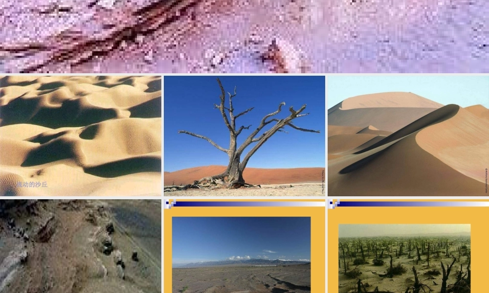 罗布泊消逝的仙湖 课件5.ppt