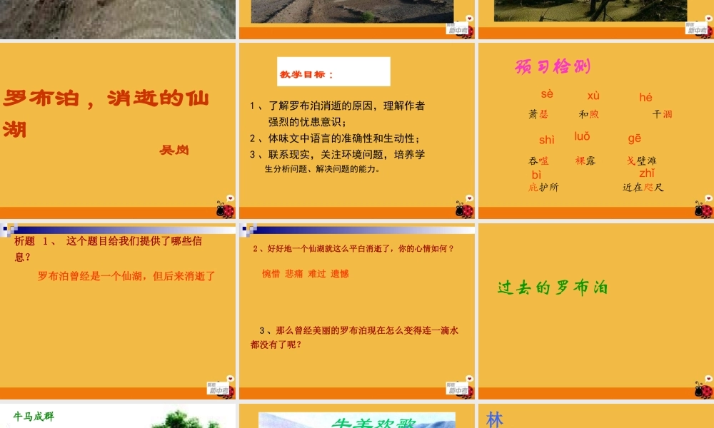 罗布泊消逝的仙湖 课件5.ppt