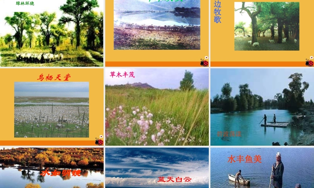 罗布泊消逝的仙湖 课件5.ppt