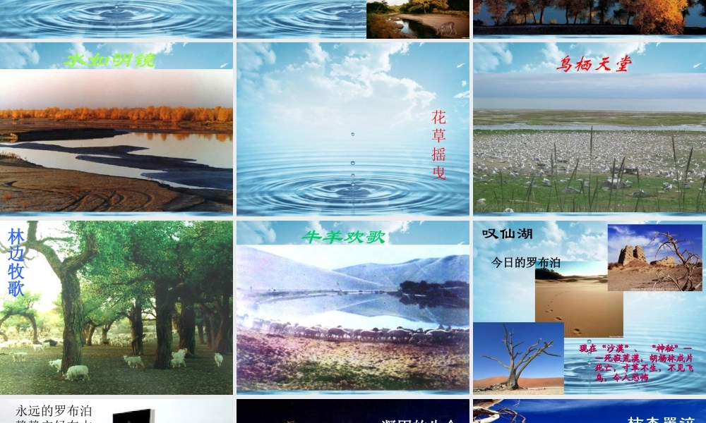 罗布泊消逝的仙湖 课件2.ppt