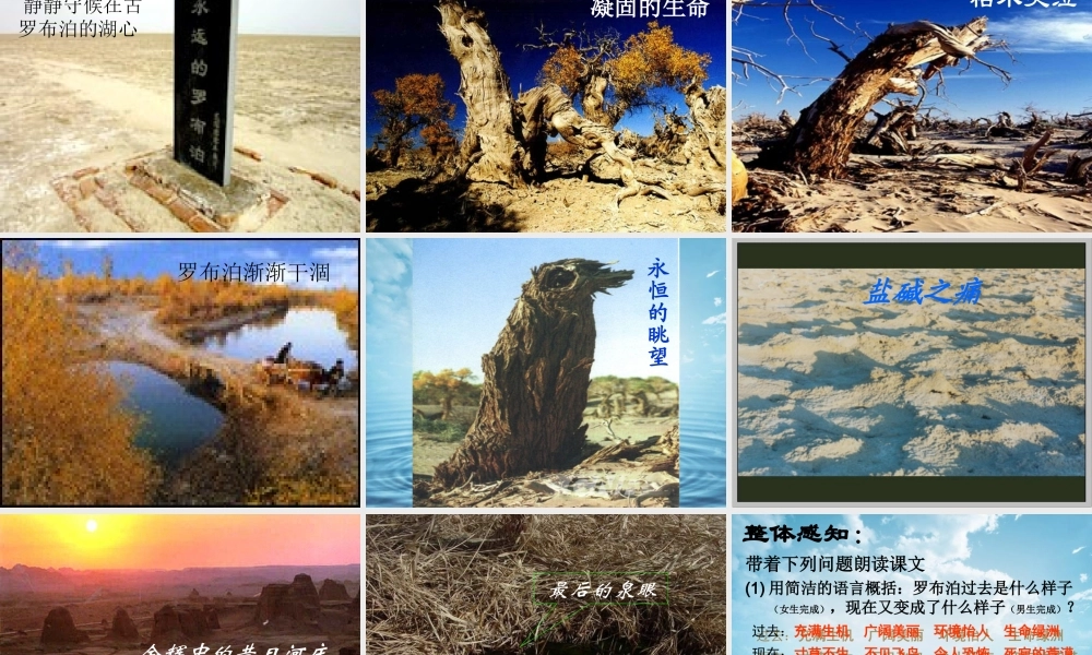 罗布泊消逝的仙湖 课件2.ppt