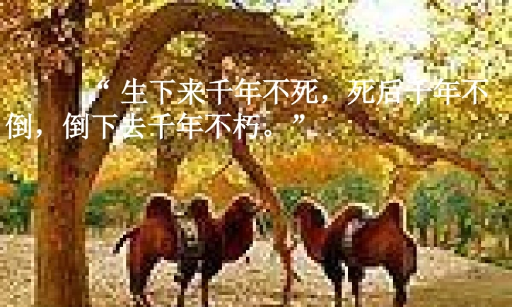 罗布泊_消逝的仙湖 课件1.ppt