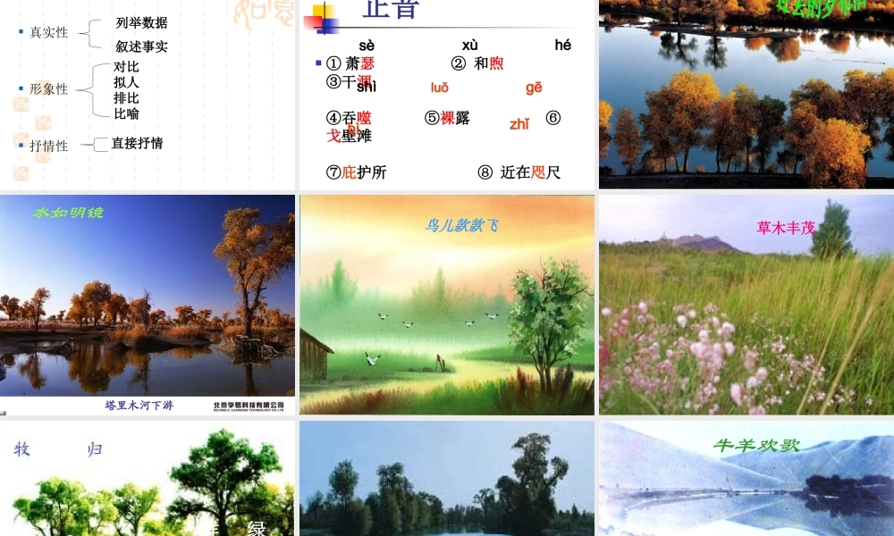 罗布泊_消逝的仙湖 课件1.ppt