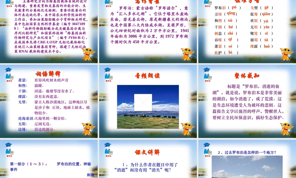 罗布泊消逝的仙湖 课件3.ppt