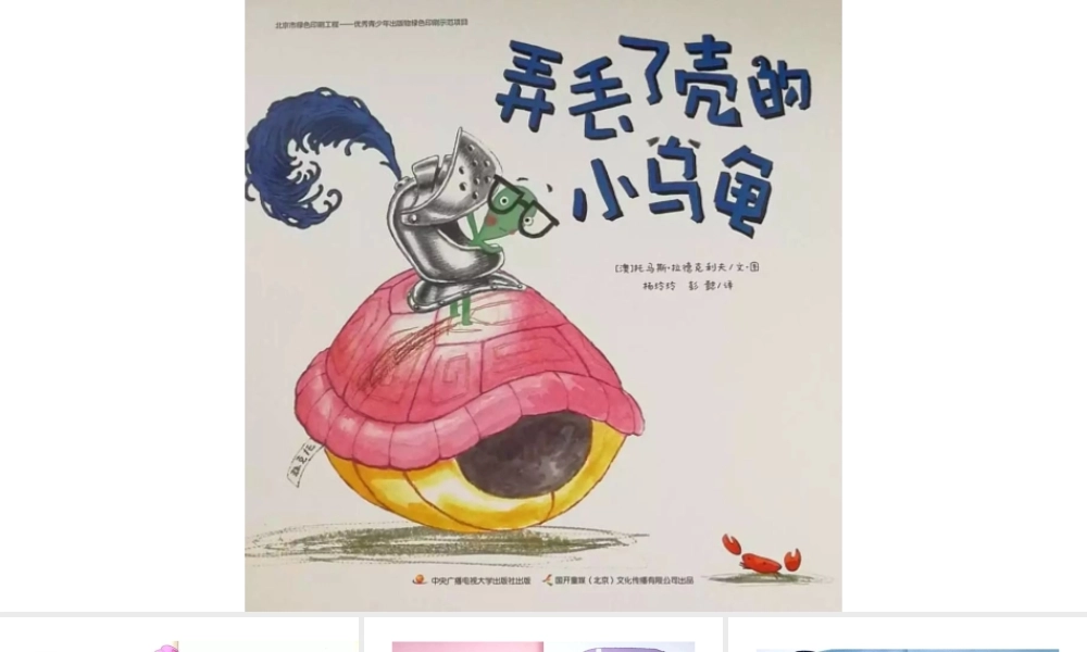 弄丢了壳的乌龟 -- 印象工作站 淘宝店.pptx