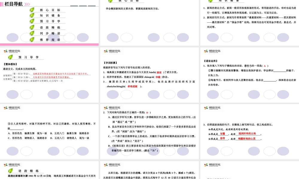 首届诺贝尔奖颁发 课件一(1).ppt
