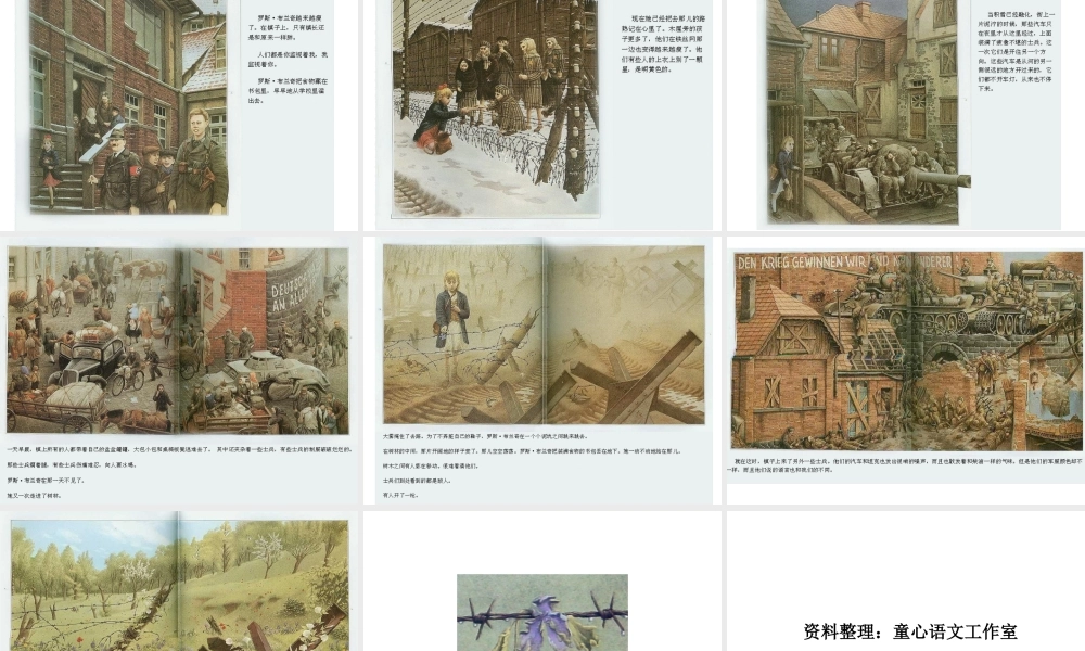 铁丝网上的小花 -印象工作站.ppt