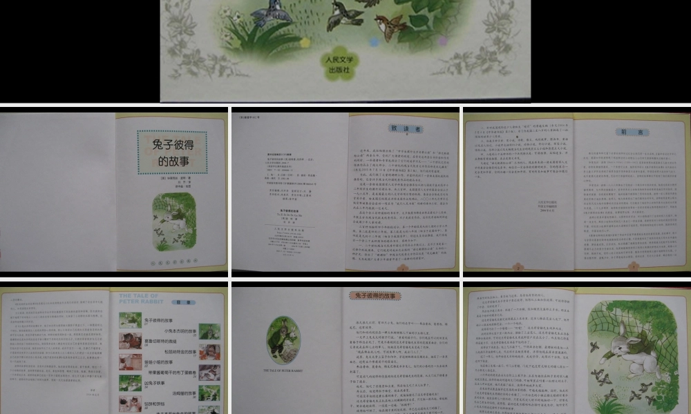 兔子彼得的故事.ppt