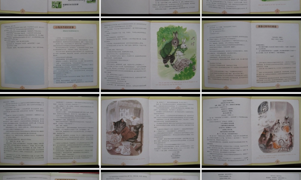 兔子彼得的故事.ppt