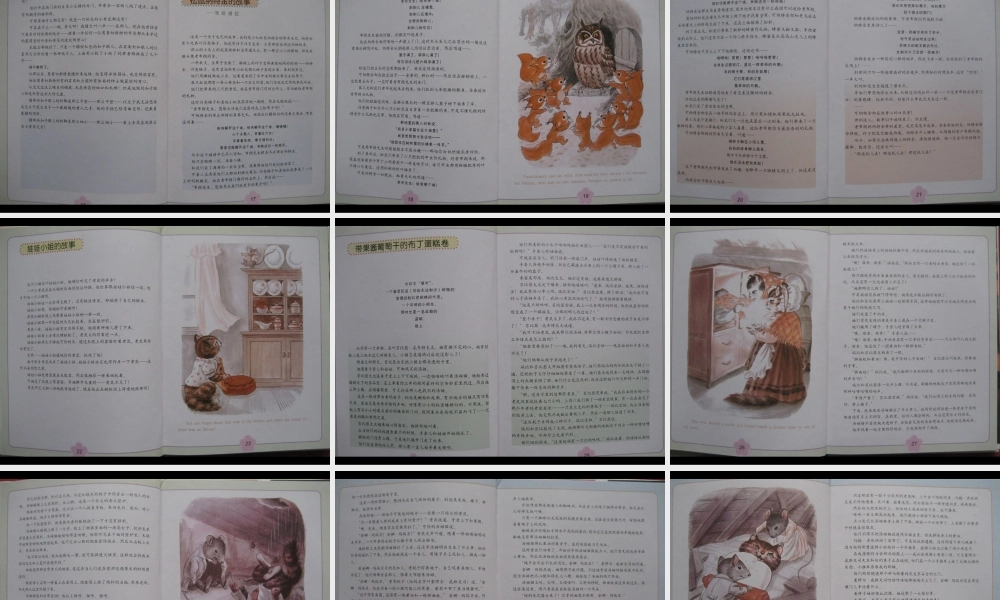 兔子彼得的故事.ppt