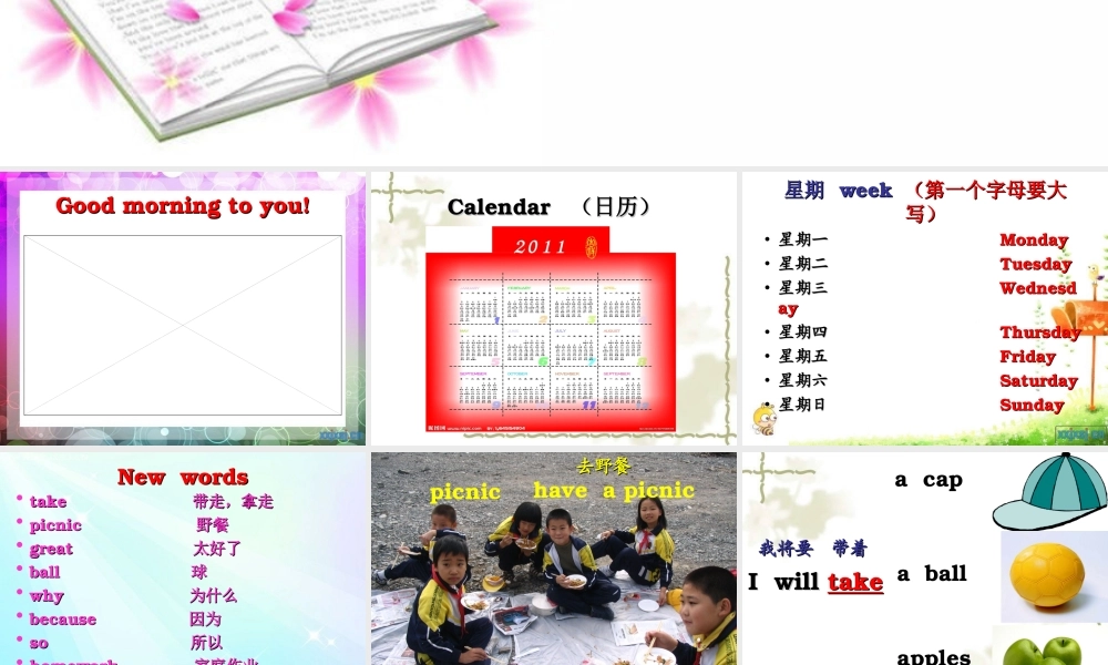 外研版（三起）四下Module 4《Unit 1 Will you take your kite》ppt课件2(1).ppt