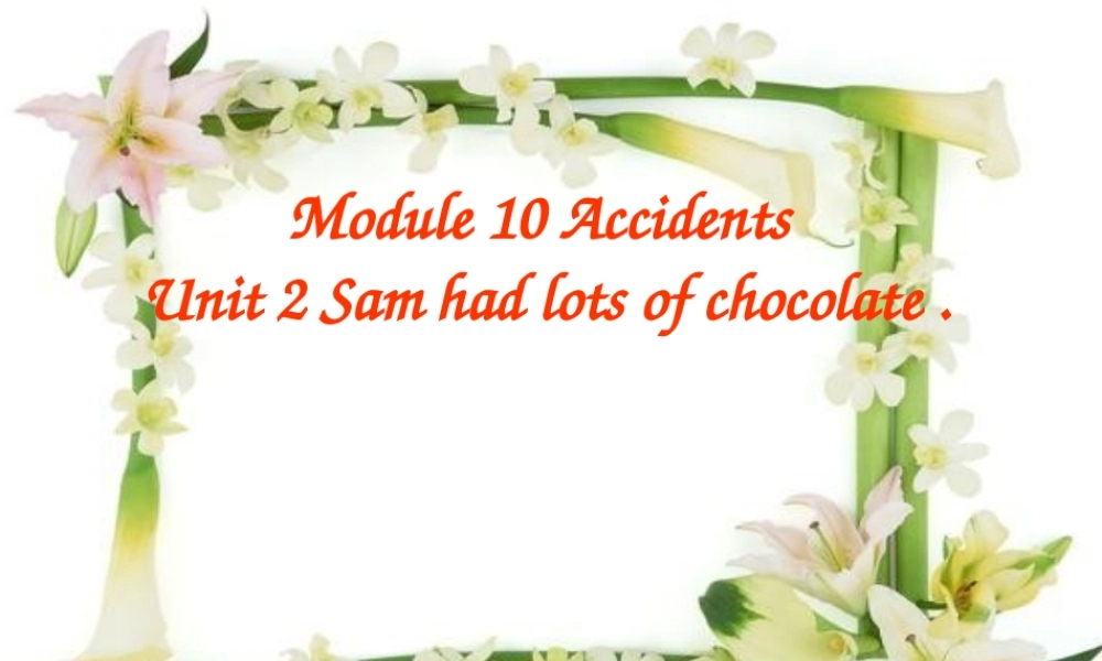 外研版（三起）四下Module 10《Unit 2 Sam had lots of chocolates》ppt课件3(1).ppt