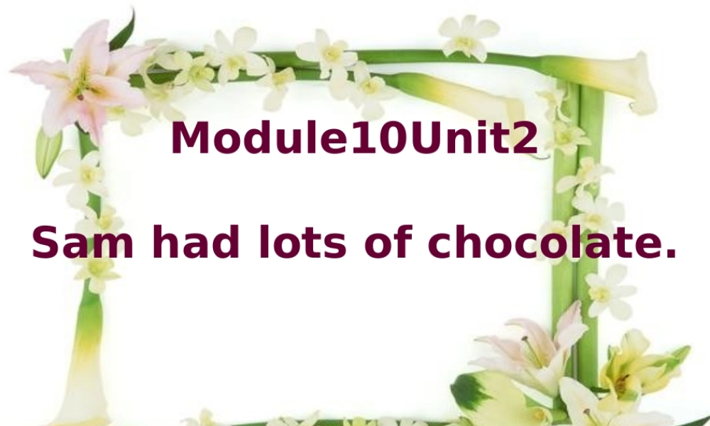 外研版（三起）四下Module 10《Unit 2 Sam had lots of chocolates》ppt课件1(1).ppt