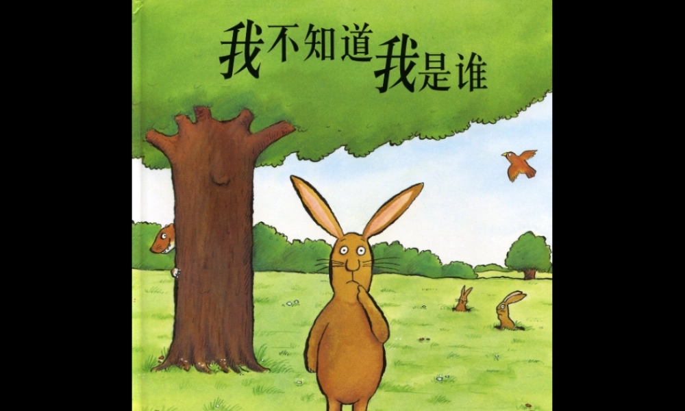 我不知道我是谁 -印象工作站.ppt