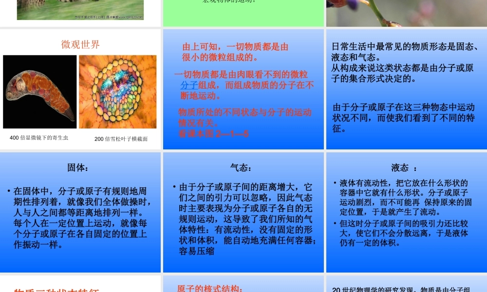 物理：教科版八年级 认识运动（课件）.ppt