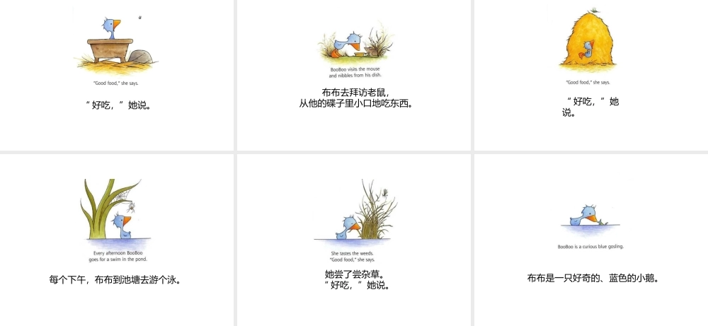 小鹅booboo－ 中英对照.ppt