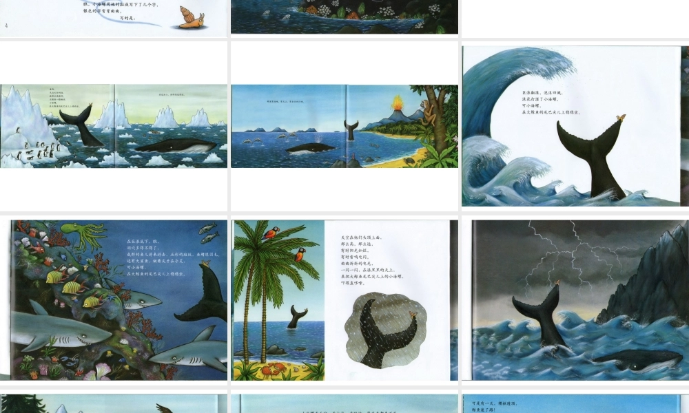 小海螺和大鲸鱼 -印象工作站.pptx
