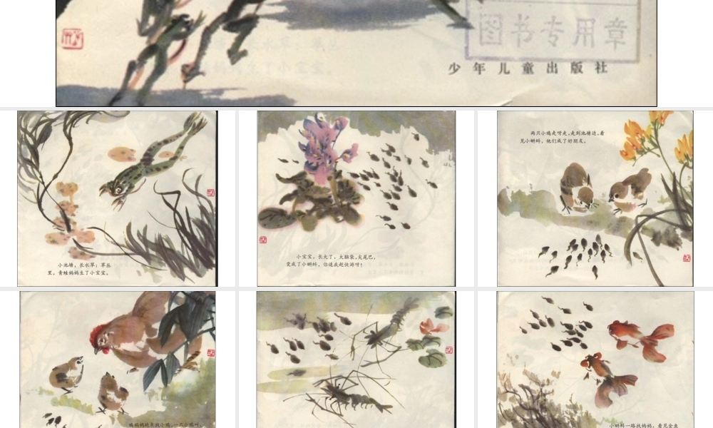 小蝌蚪找妈妈(国画版) -印象工作站.ppt