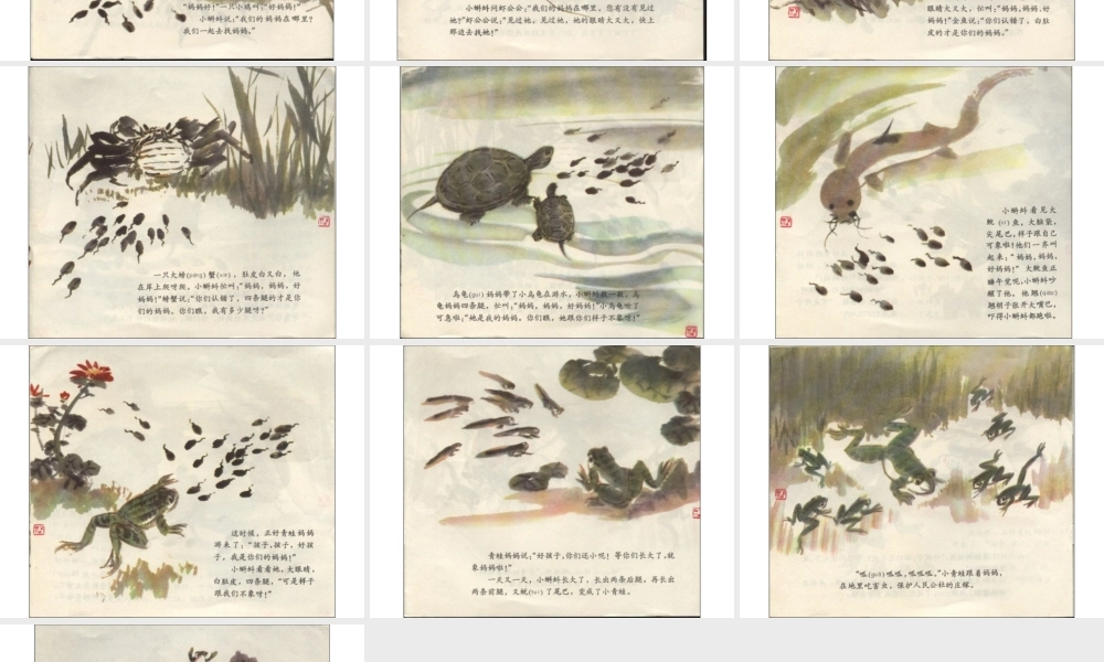 小蝌蚪找妈妈(国画版) -印象工作站.ppt