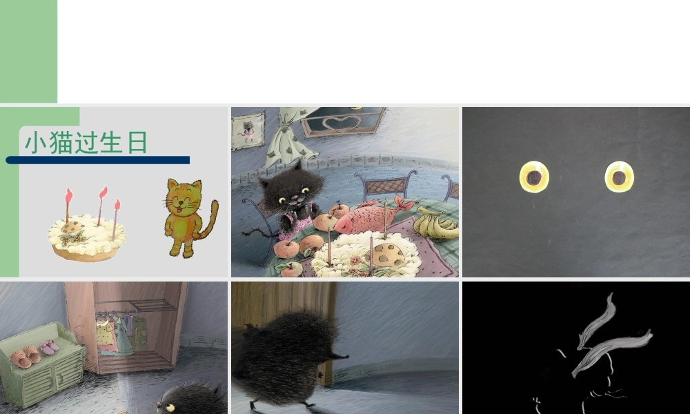 小猫的生日.ppt