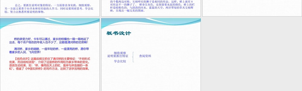 写作说明要抓住特征.ppt