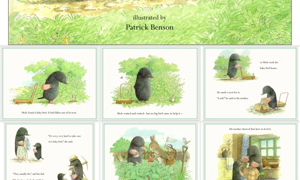 鼹鼠与小鸟（英文） -印象工作站.ppt