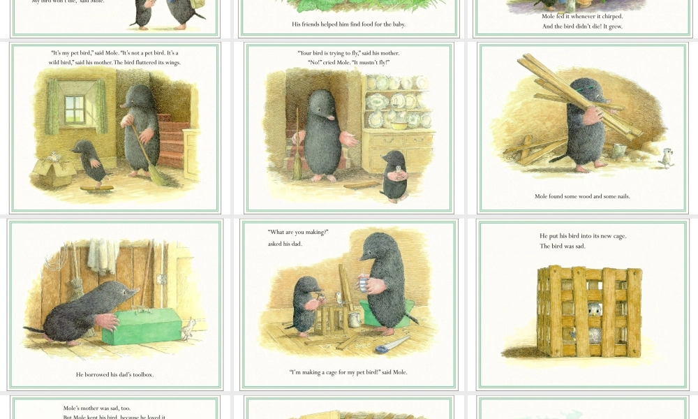 鼹鼠与小鸟（英文） -印象工作站.ppt