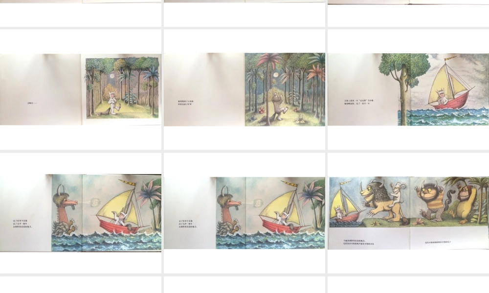 野兽出没的地方 -印象工作站.pptx