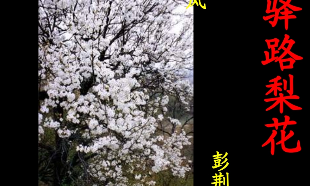 驿路梨花 4.ppt