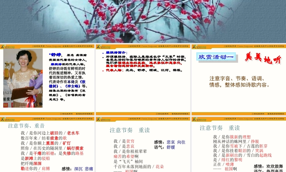 语文九年级下册《祖国啊我亲爱的祖国》.ppt