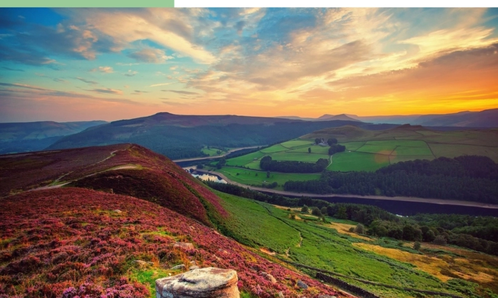 粤教物理八上《3.1. 光世界巡行》[刘老师]【市一等奖】优质课.ppt