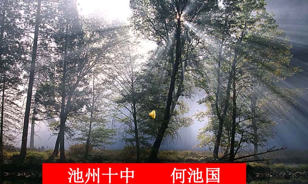 粤教物理八上《3.2. 探究光的反射规律》[何老师]【市一等奖】优质课.ppt