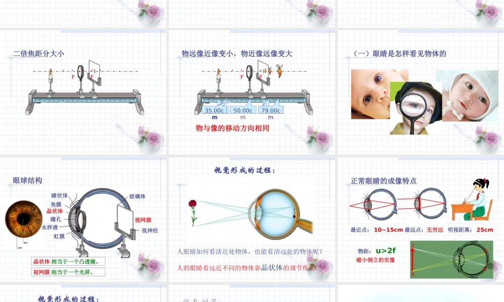 粤教物理八上《3.7. 眼睛与光学仪器》[王老师]【市一等奖】优质课.ppt