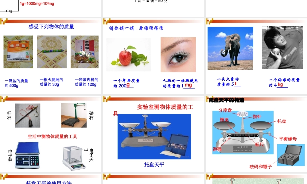 粤教物理八上《5.1. 物体的质量》[金老师]【市一等奖】优质课.ppt