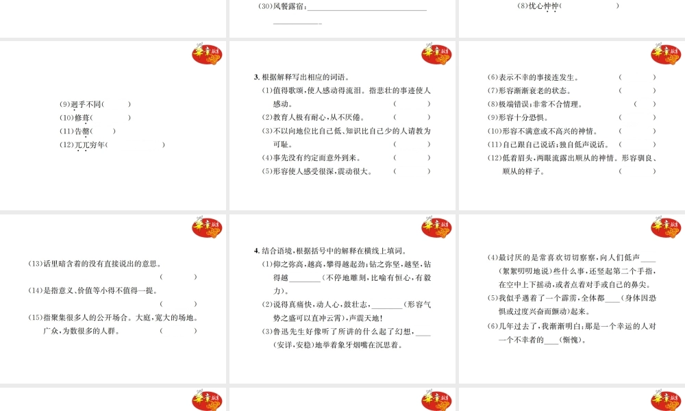 专项复习二 词语的理解与运用.ppt