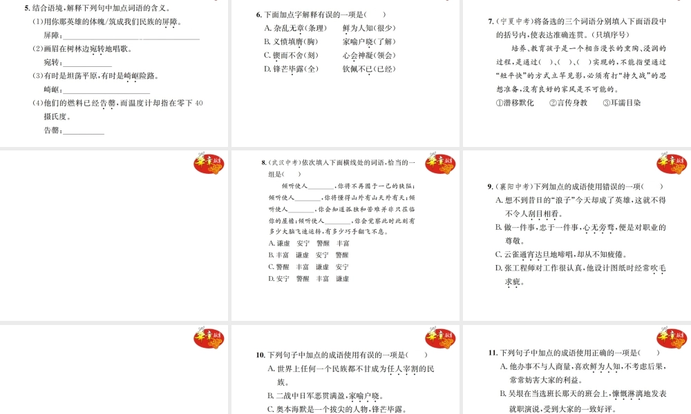 专项复习二 词语的理解与运用.ppt