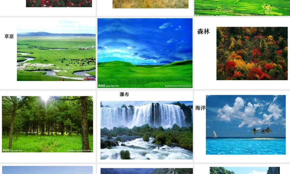 最新教科版科学二年级上册 1、地球家园中有什么 （精品课件）.pptx