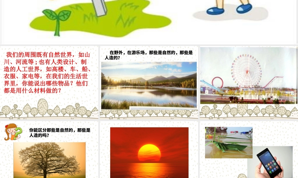 最新教科版科学二年级上册 材料 1、 我们的生活世界 （精品课件）.pptx