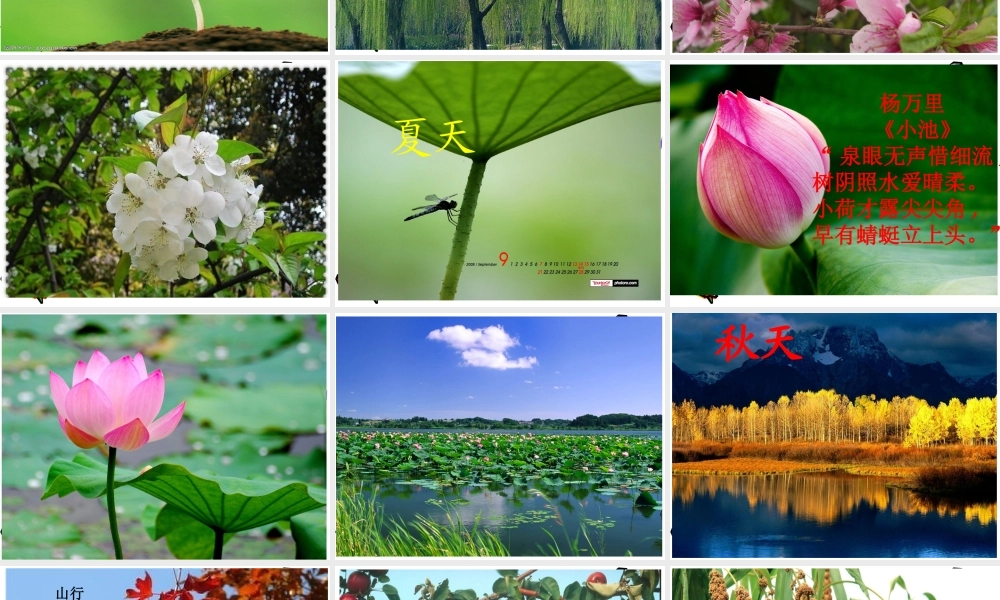 最新教科版科学二年级上册 6、不同的季节 （精品课件）.pptx